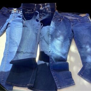 3 pair size 12 Long Duluth Trading Co, Lane Bryant, Old Navy Women's Jeans Box 4